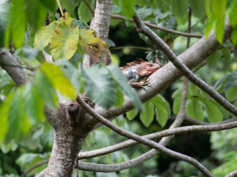 442F023332D594CB6CAC7AED878FF886