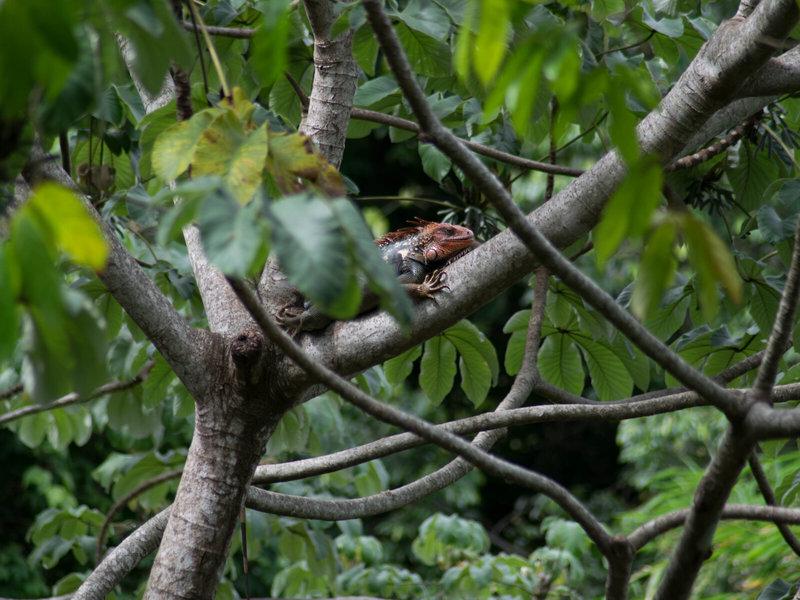 A9C9E137DC032B1B599445C056A1D76F