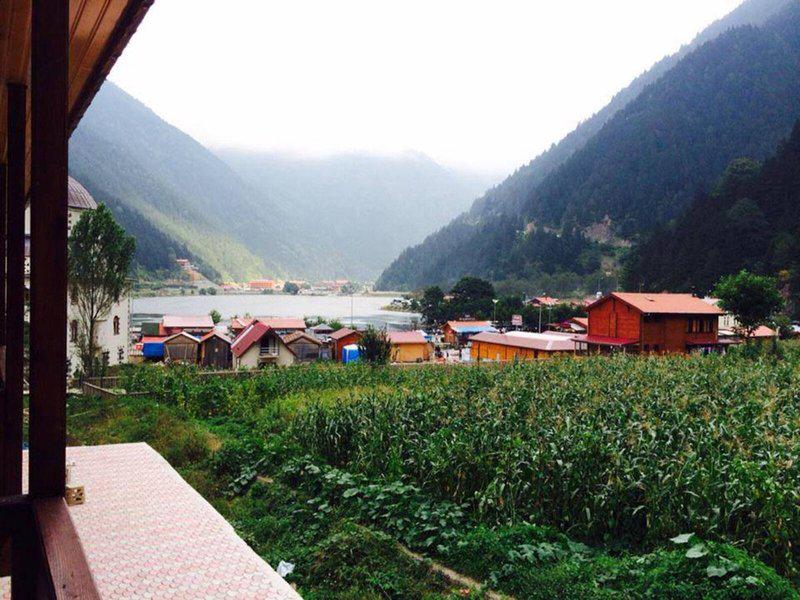 ED9D3C34F7094B5F2835B2AACB869D42