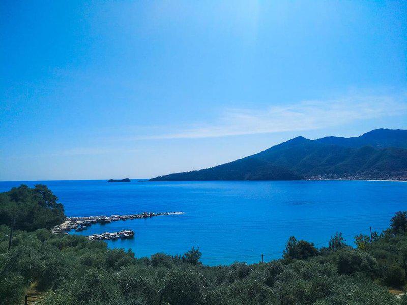 0C1325E4506536A0CD4CB2BD0D499623