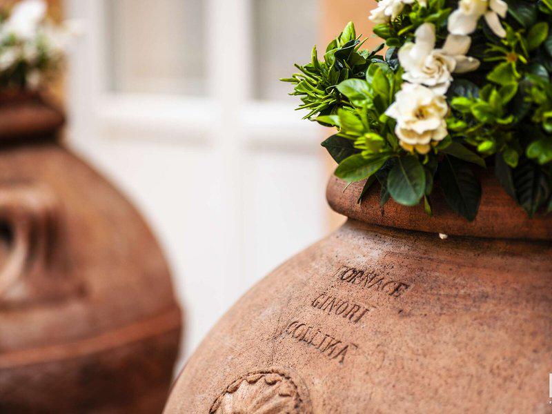 6A416AA9F457738900F9578ECA2C6331