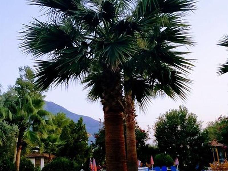 0AB18300058CC7074F5CFB2110DE72CE