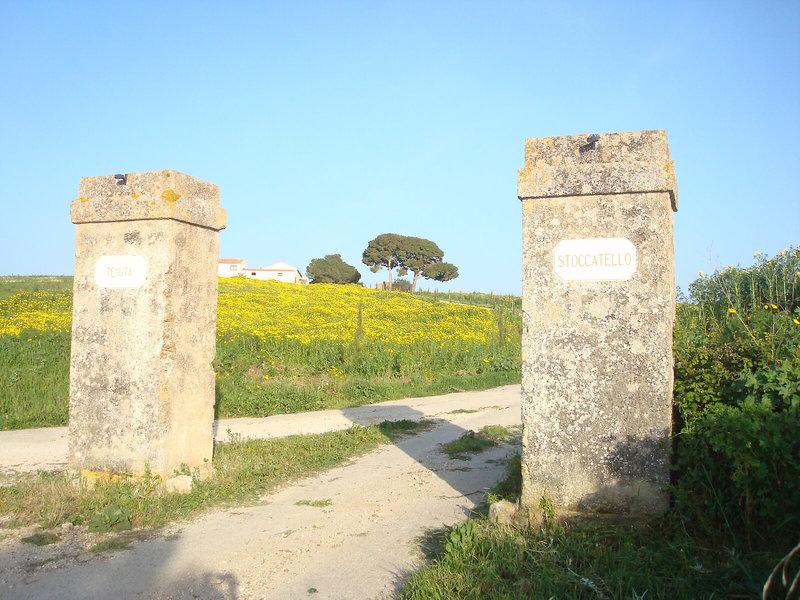 2E96D89B86380F32BD9407B2DE71DC92