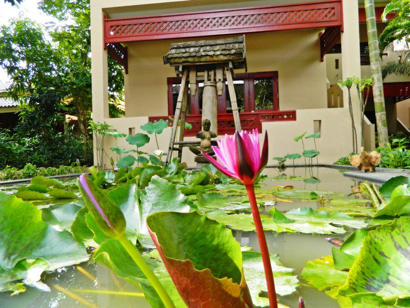 77B8E0EAD6A45CA02CAD8C04E430A76C