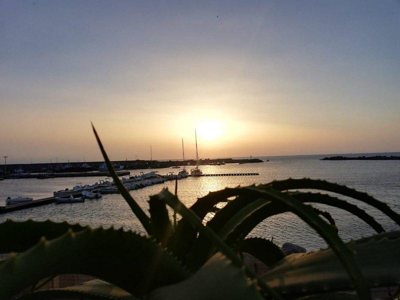 8C83D3F1B56A803D9457E7268A1160E8