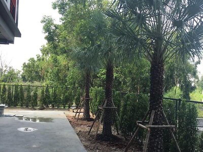 B5D281BECA0CDECDF466818B1786F1D5