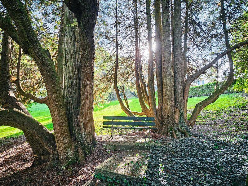 32F8C8D4F33F031E02118117A9F40E02