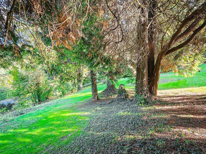 0D2C31ABCC6688EF4E5923208930EA3D