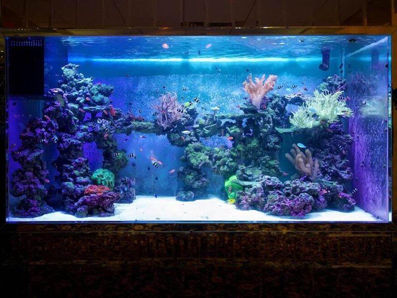 B1281EAE0035CE43AA543F1996C3478F