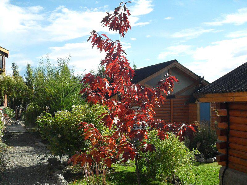 2261AB767810B54D46E2DEDD894D22BB