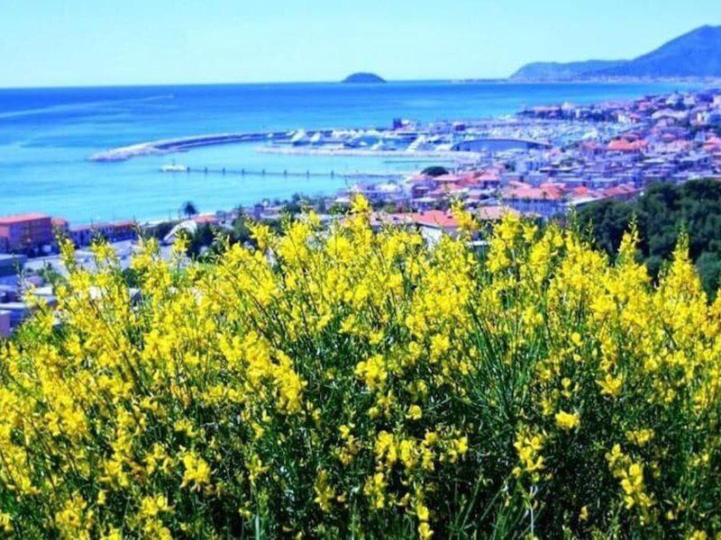 51F94E5ED802F40B34FEC253B9DE9CE8