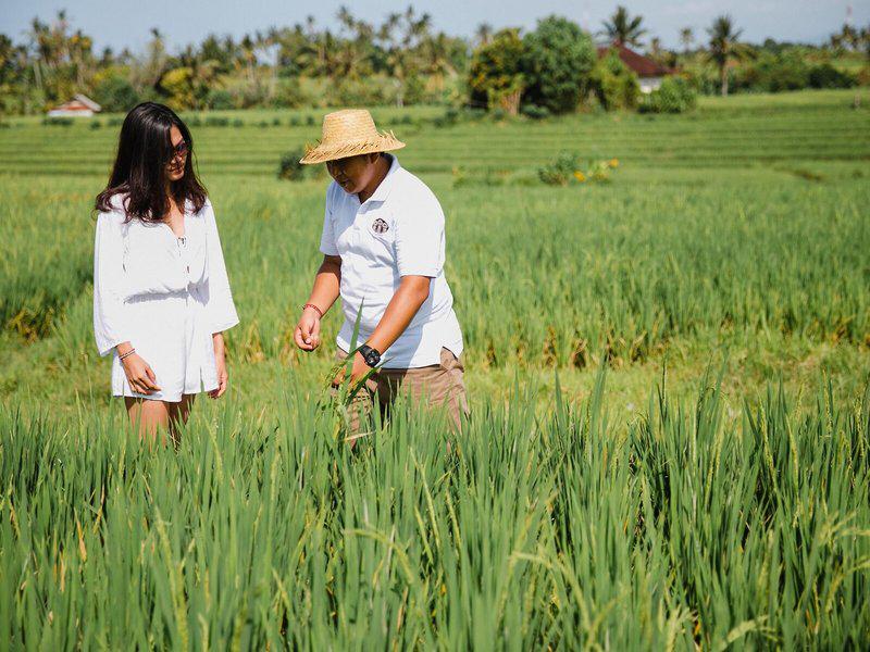 2EFA2BDB77DB815683E1046C1C47FE00