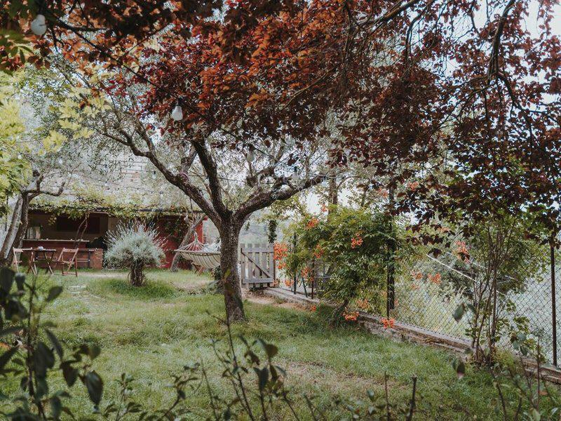 E9233C2C6C3EA72F9E9CF19B7CA070C7