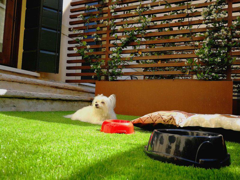 0F6640FCA41A1F8BEA2CCFE05D4CF4F7