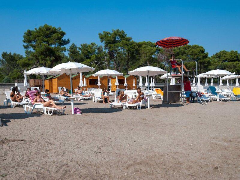 74F15BAED8E4F28F779644BCD5EA4845