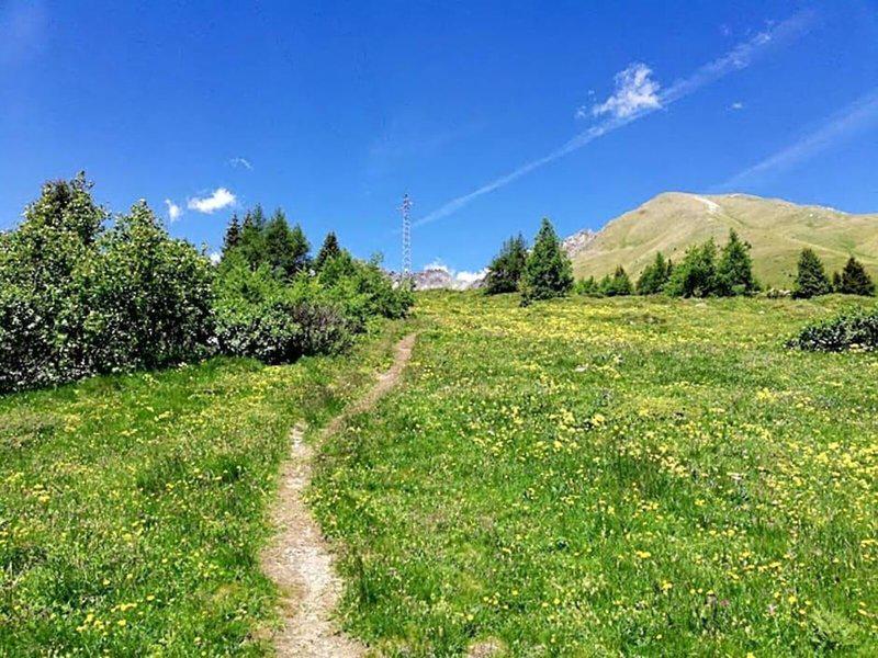 1A0B4A889284083901863AED960811DB