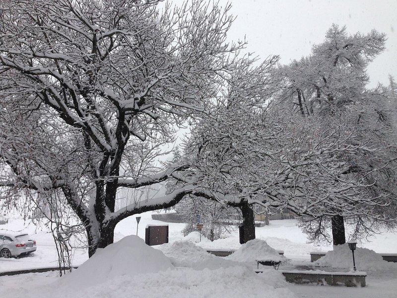 2E0F425ED2D371218DD8027D1E118B92