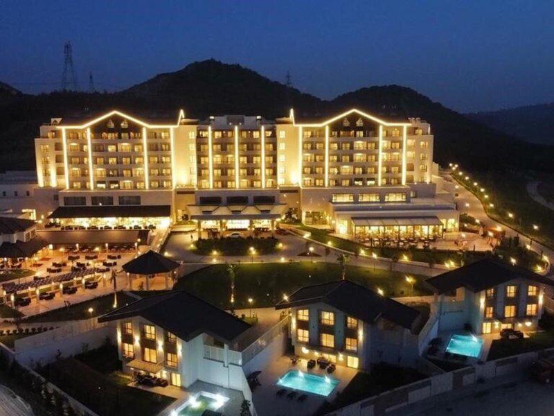 B29033E473E163A13B6C40D41B88D155