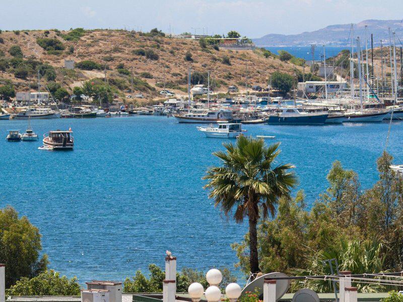 0291F59B1A42E23DB4CD96585580D8D8