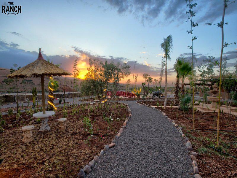 62F2164C299577B8F8969592FC29FF02