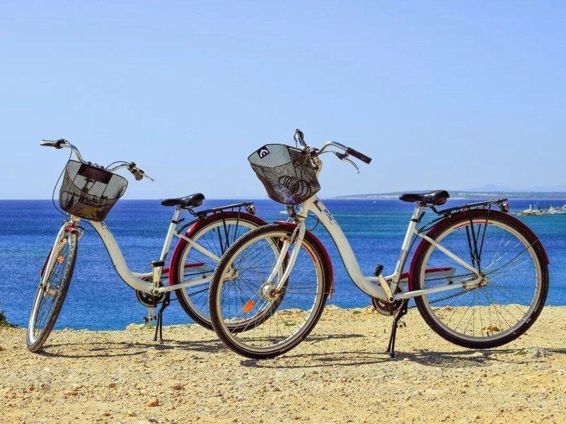 0E9F84CBEDF68D3911684006A105495A