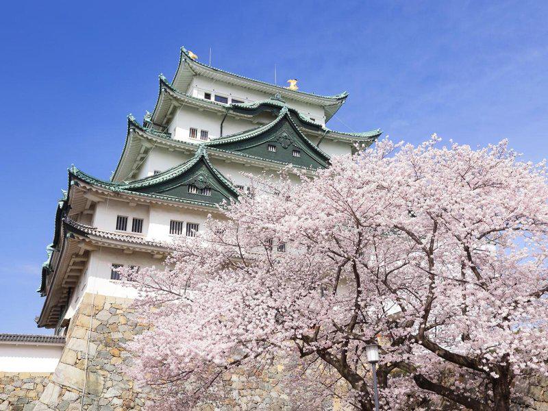 7BD1F9636FDA13F60C3313CC2CE1FC80