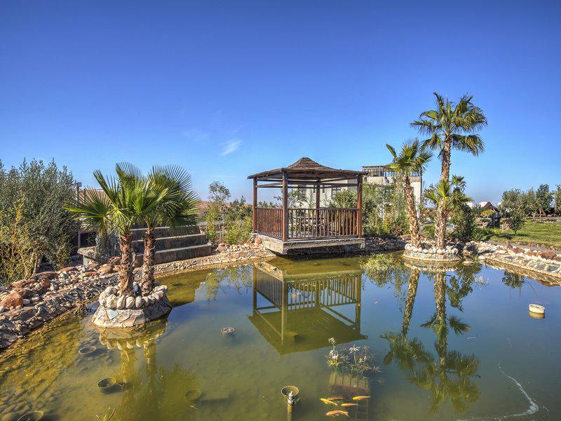 D9AFB2E9BD1AA47477DE47BD3DE02DA9