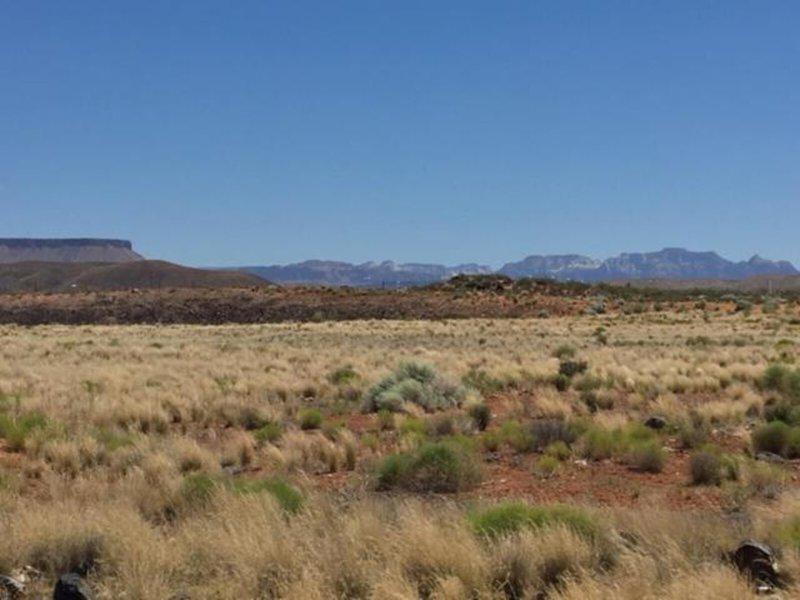 11E3E589071522A138DD1B917E9EF699