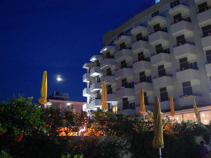 31EA67410267C822891ED380DCE31D7E