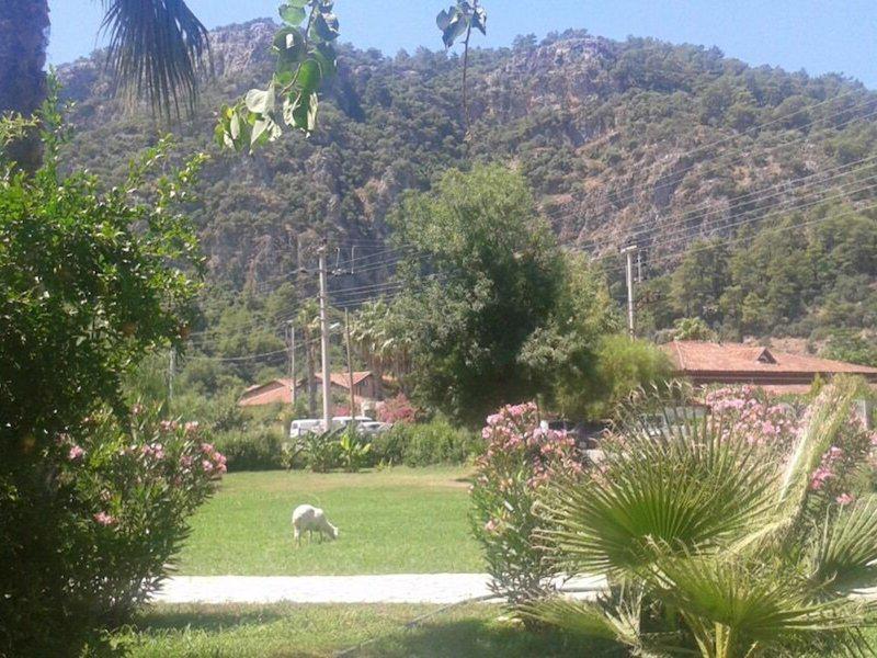 9B5F583C840AF0279342710B8A9E9637