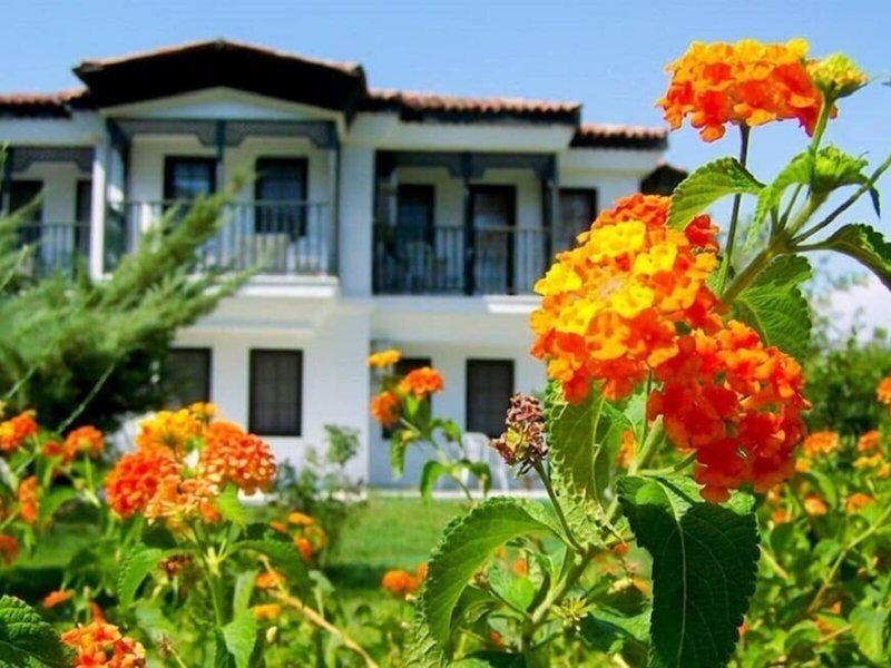 E81FB89C823C2E93E5CF03981412FCC2