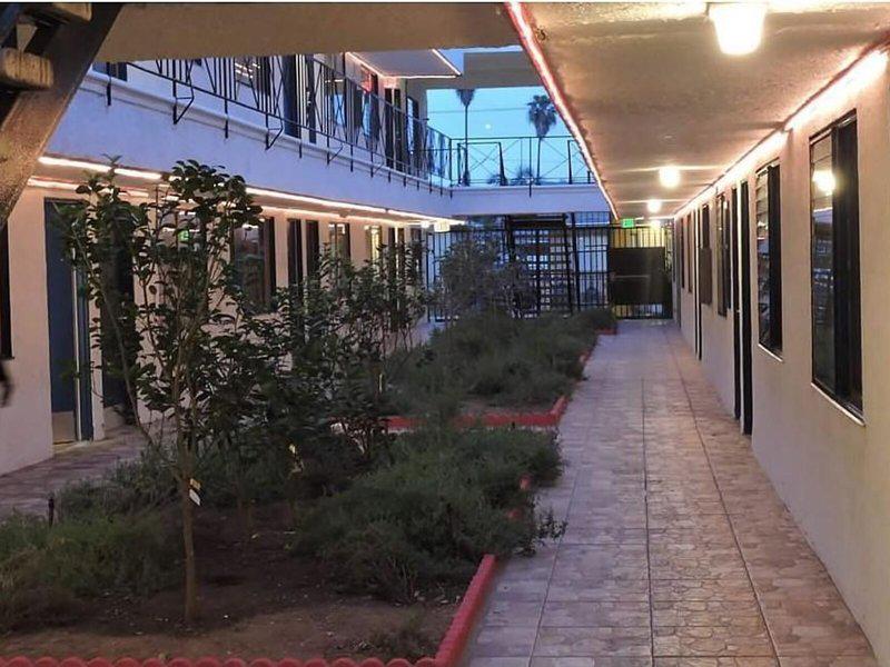 8323F9B9D791141CA69A28277AC1EA5D