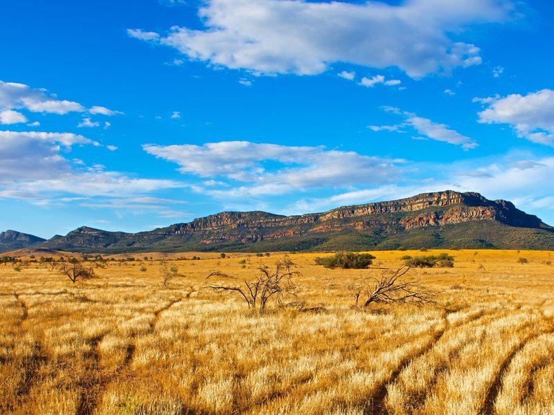 131303DE04D420839B1D48974535B99A