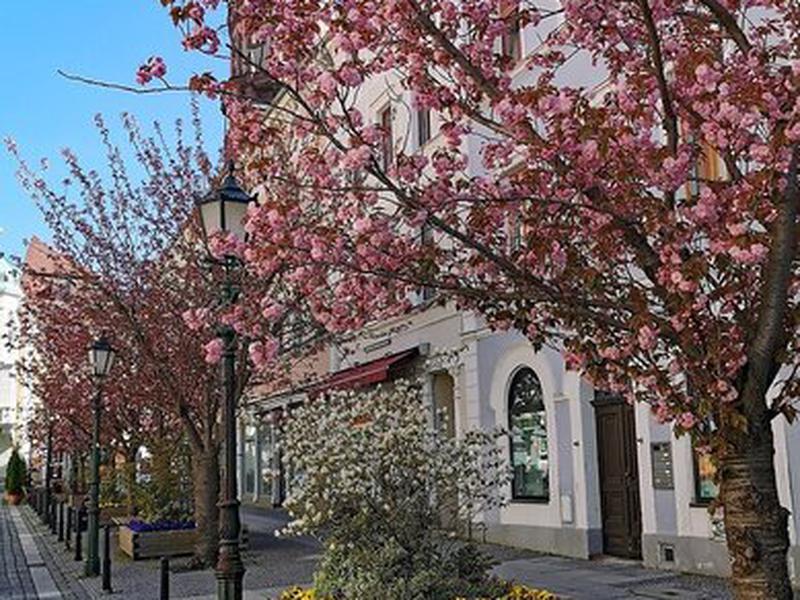 535C127810510116BF718F7A9759F23C