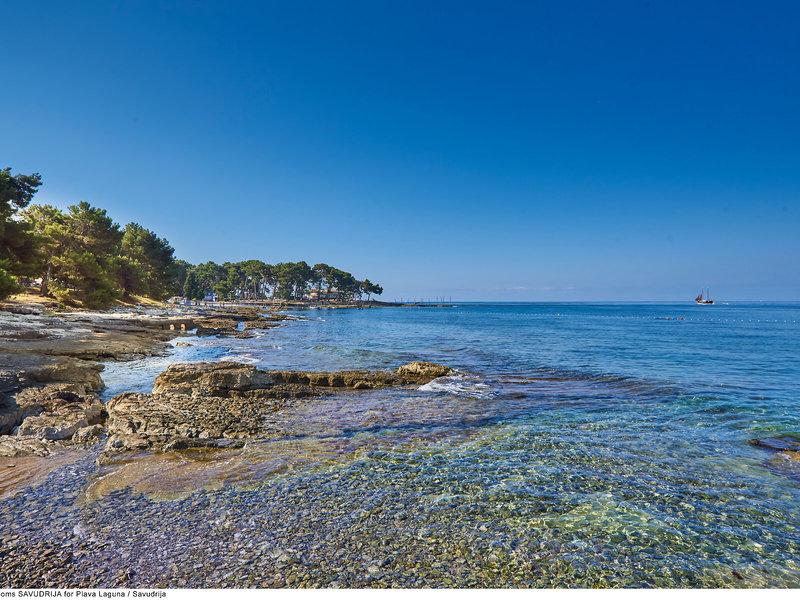 9A057F86FE34486EEE68F588471DDDBA