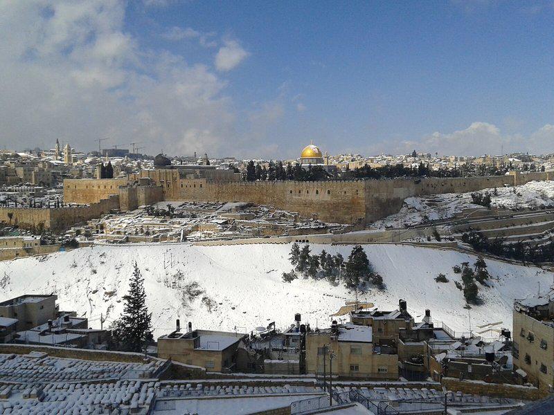 67EF17120BF39EA3F5D0593FC4236512