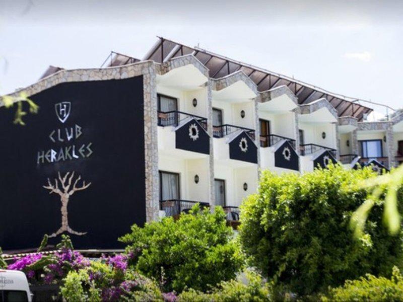 C02B38DEB6E07EF136A96894B02A591C