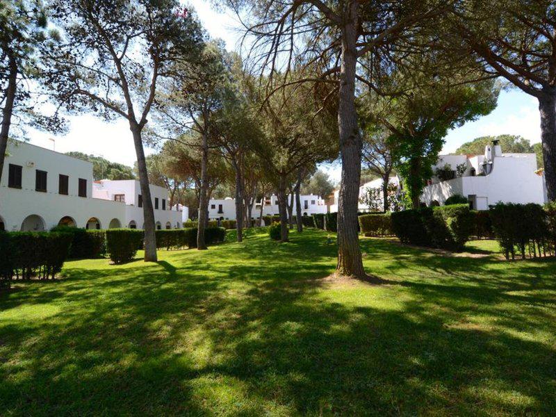 53BC4B5A276AC480E5BE4383C3DE0586