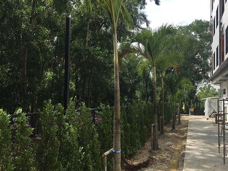 4CF5FEF2CDD4F83D507E8D03F1F1DB80