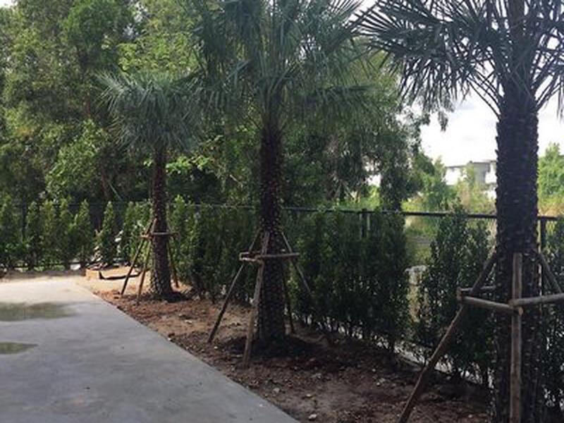 64674AFB25D25EAEAEC5B469C5E70802