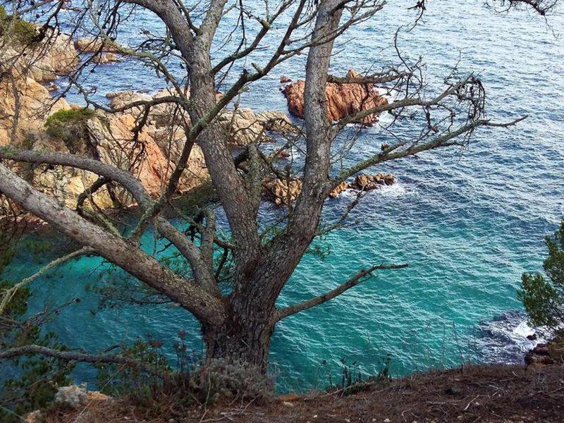 AC53360A269616BC7FFC8AAC01734723