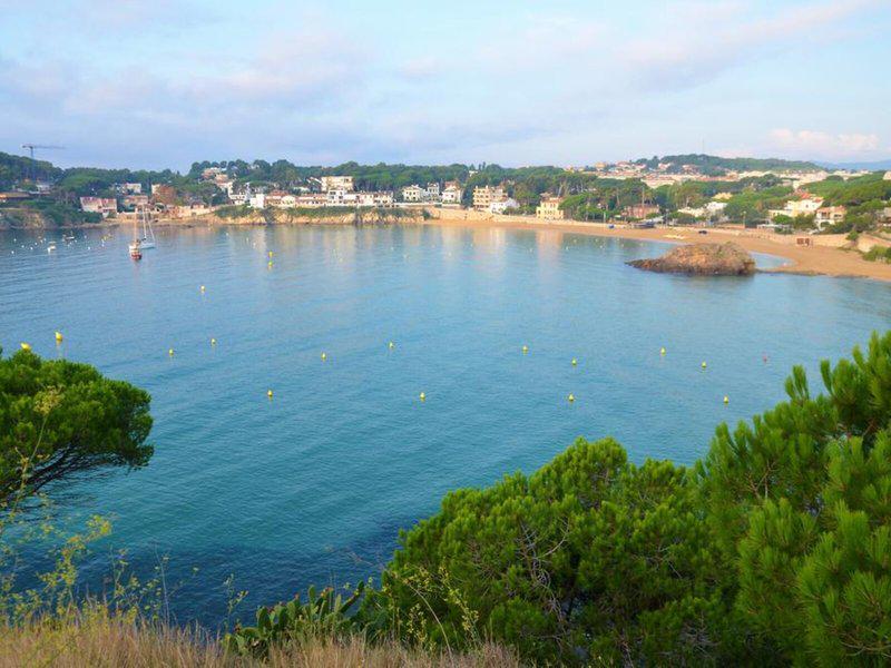 814FEAE629B5B47B593EA0B25E12CD5D