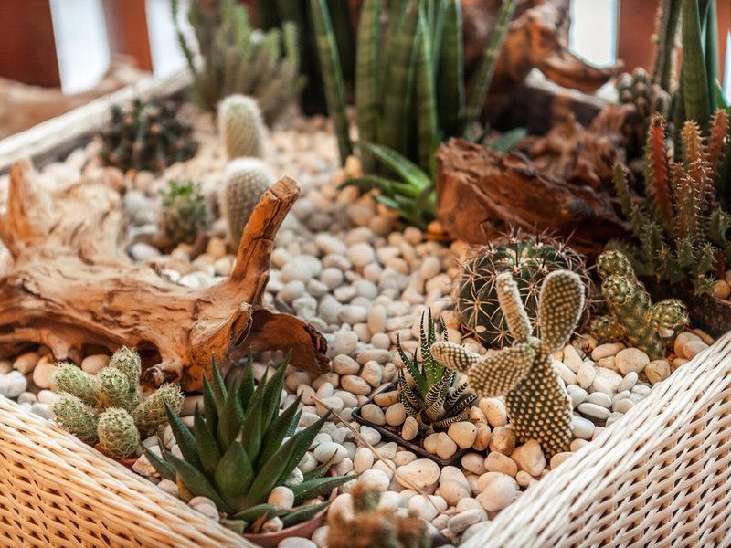 4B5A06F717E5F511BDFE6820188B026F