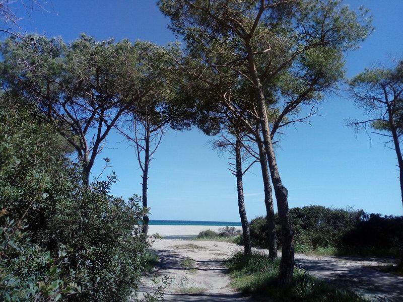 8E2FDD24C67851FDFF4BC76998D95F57