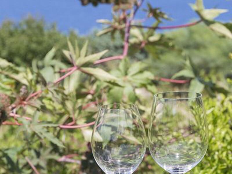 636D03E0F00E1717503283D2026B6CCF