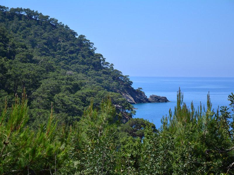 A361A8600AC0A323EB70D1E82DEBD84F