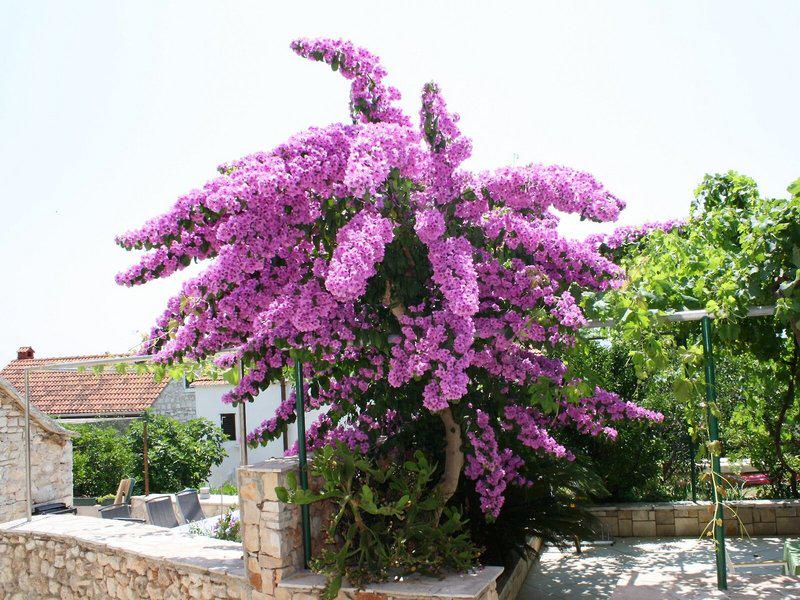 2AA47121CDB00845AA635913CB3CA743