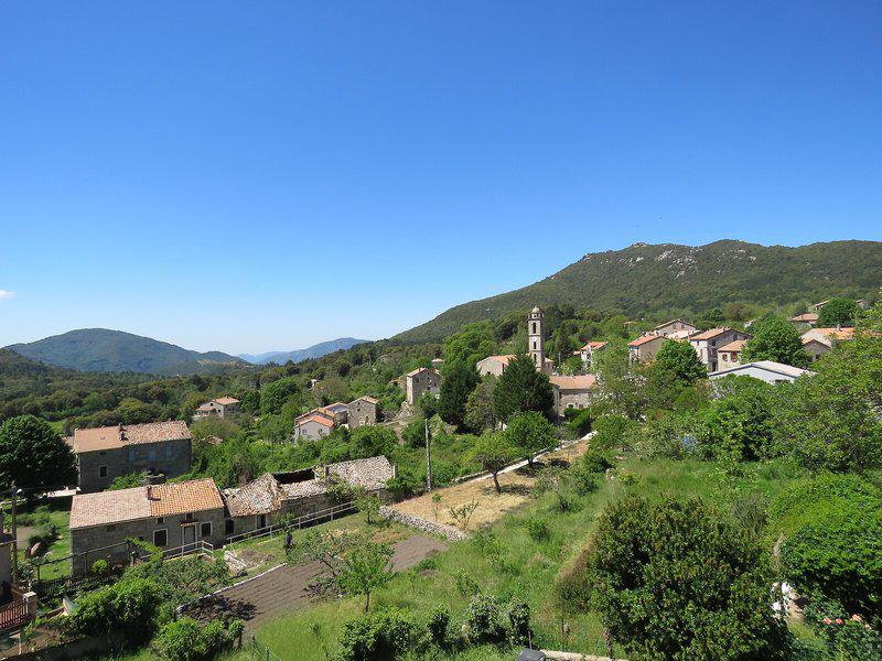 42FCCDC5F55DC8D2F7C7B06C36FB1D10