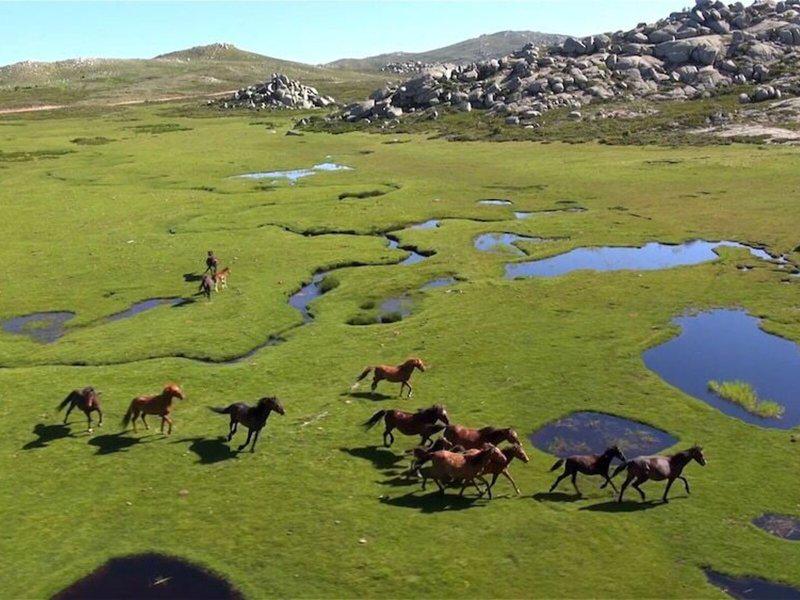 0CF20963600E9BB0309CA0A0636BF578