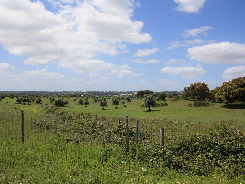 0094B9AC95C52F7F1670D998B7707AC8